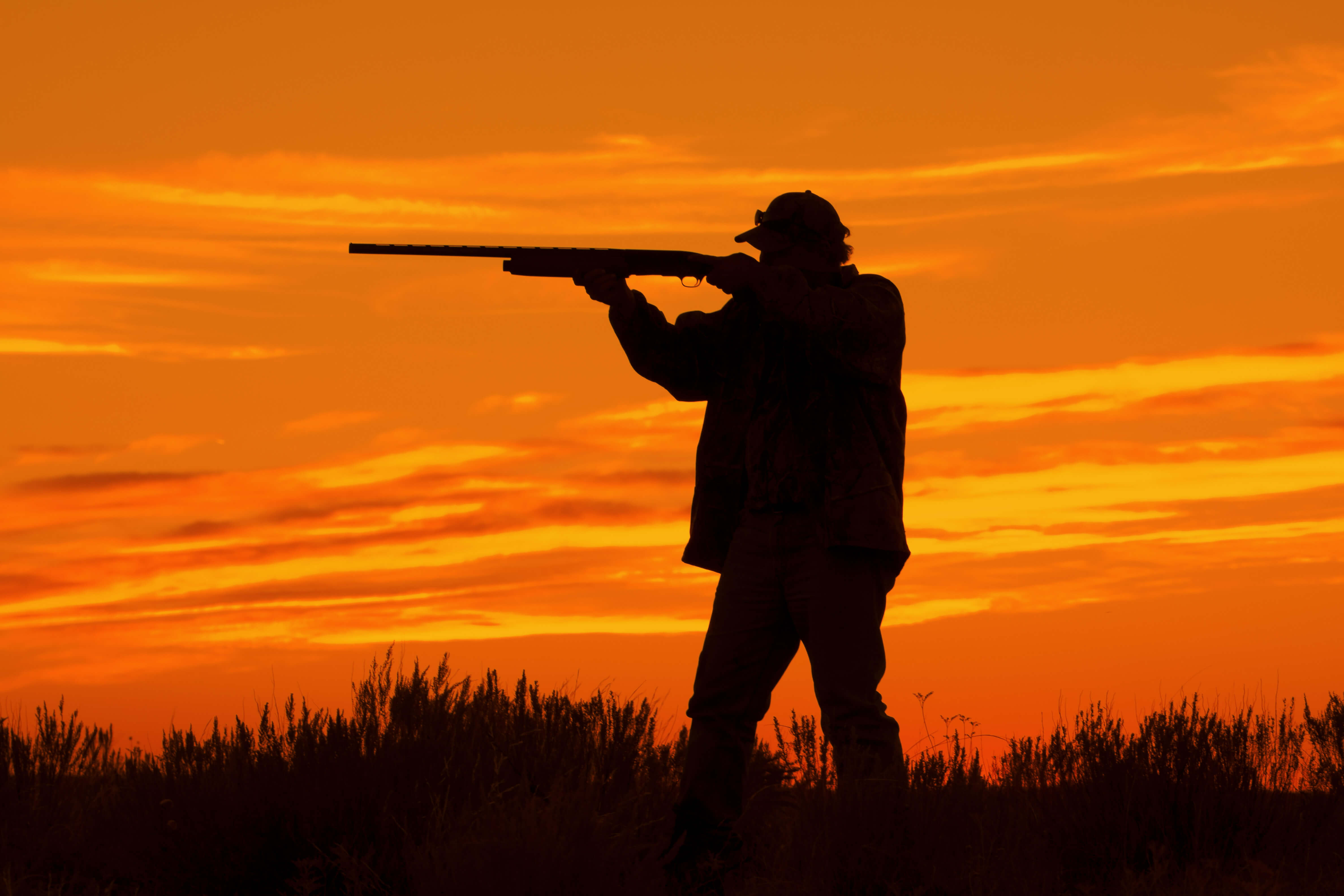Contrat Chasse Solly Azar Assurances : Les tarifs sont maintenus