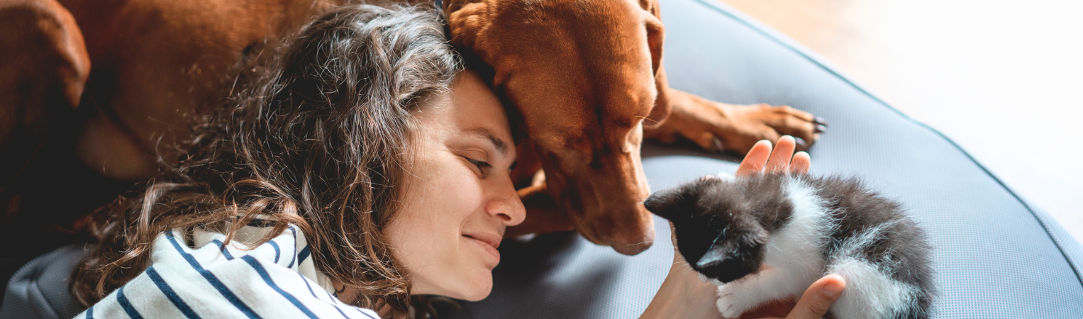 Assurance Chien/Chat : 1 personne sur 4 a déjà renoncé à soigner son animal pour des raisons financières